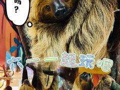 -正佳雨林生态植物园