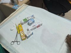 -派美特宠物医院·核磁CT·骨科肿瘤·疑难转诊(沈农禾丰店)