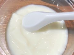 新加坡冻豆花-老号尤兔头(幸福店)