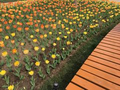 -长春公园(普阳街道)