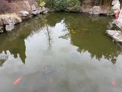 -梅园