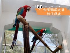 -成都动物园