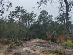 -南京市无想山景区