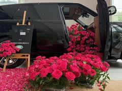 -上海伟杰·捷豹路虎4S店(闵行店)