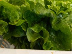 -黑山牛肉汤火锅(花城汇店)