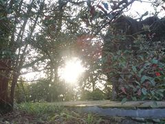 -山王坪喀斯特国家生态公园