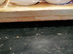-丝恋丝娃娃(金阳国贸店)
