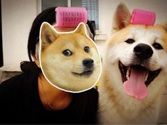 -HIHE Bistro·Oyster Bar(华熙live店)