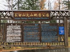 -峡谷浮石林景区