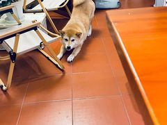 -About Bistro關於·泰式家庭料理