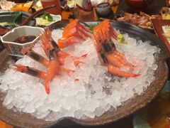 -月龍吟(朝龙汇店)