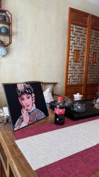 -胭脂猫京剧摄影