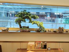 -七条鱼日本料理(远洋乐堤港店)