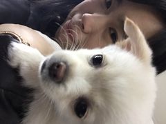 iphone_upload_pic-A+摄影