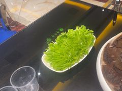 -葛记红焖羊肉(和平路形象店)