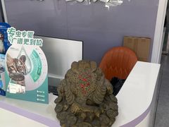 -A猫a狗全科·犬猫异宠·芥西宠物医院(南开总院)