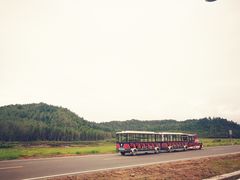 -五营红松林海景区