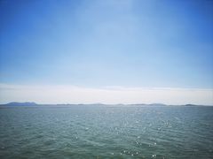 -贡湖湾湿地公园