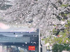 -上海黄浦旅游集散站售票处