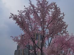 -首开·龙湖成都西宸天街