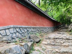 -阳台山自然风景区