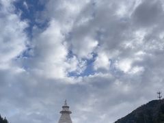 -九寨沟-树正沟