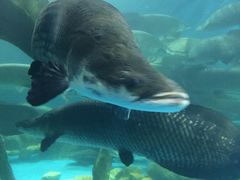 -多彩贵州城极地海洋世界