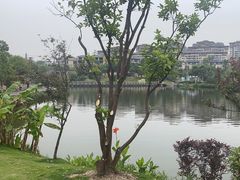 -枫香湖儿童公园