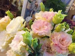 -Jo's Garden