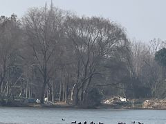 -溱湖国家湿地公园