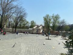 -北京世界公园