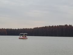 -上海海湾国家森林公园