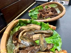 见手青-滇野云南野生菌餐厅(陕西南路店)