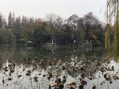 -浮庄