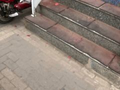 -乐宠动物医院