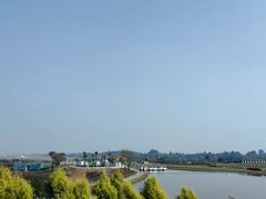 -空港花田景区