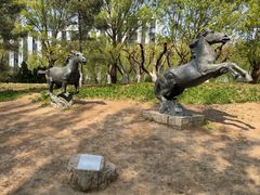 -元大都城垣遗址公园