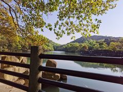 -白马涧龙池景区