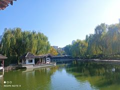 -团结湖公园
