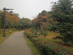 -西安汉城湖景区