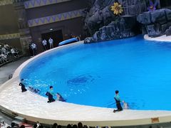 -珠海横琴长隆《卡卡虎奇遇记》