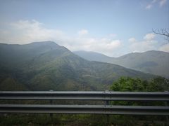 -天目山大树王景区