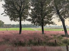 -汉长安城未央宫国家考古遗址公园