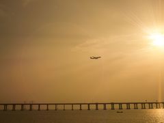 -宝安西湾红树林湿地公园