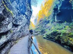 -嘉荫恐龙国家地质公园