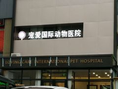 -宠爱国际动物医院· 猫科· 外科·中兽医(长白店)