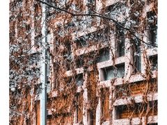 -中国美术学院象山校区-民艺博物馆