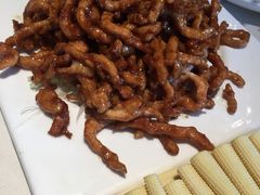 新版京酱肉丝-大鸭梨烤鸭(顺义石园店)