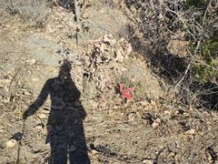 -大鹅岛灶台鱼·铁锅炖(水库路店)