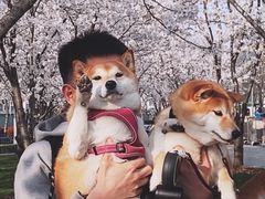 -龙美术馆西岸馆-停车场